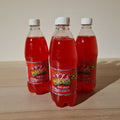Bigga Fruit Punch (600ml)